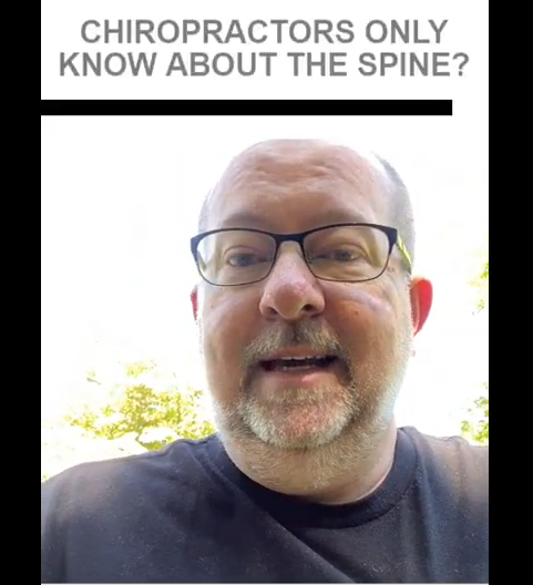 Chiropractors Only Know About The Spine